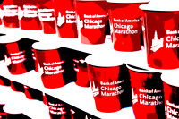 Chicago Marathon 2014
