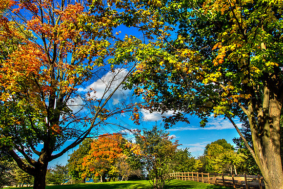 Montrose Harbor
