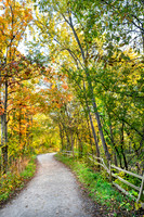 North Shore North branch Trail 9-2024