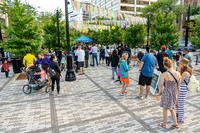 NorthShore Evanston events, chalk , Northwestern cats  etc etc 2022