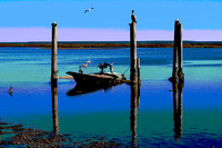 Florida... The Forgotten Coast and Wakulla & Leon Counties