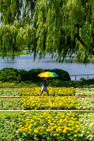 Northshore Botanic Gardens, North branch, trail... 2025