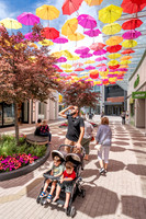 Northshore, Old Orchard, Center for arts 2025